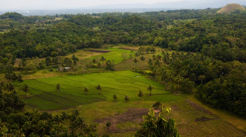 Bohol Landscape