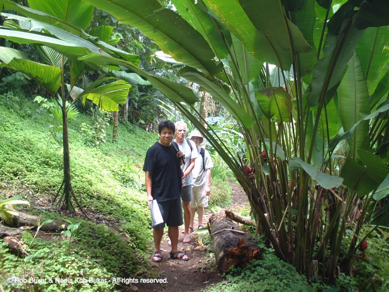 Andy, Walter, and Rob on Hike