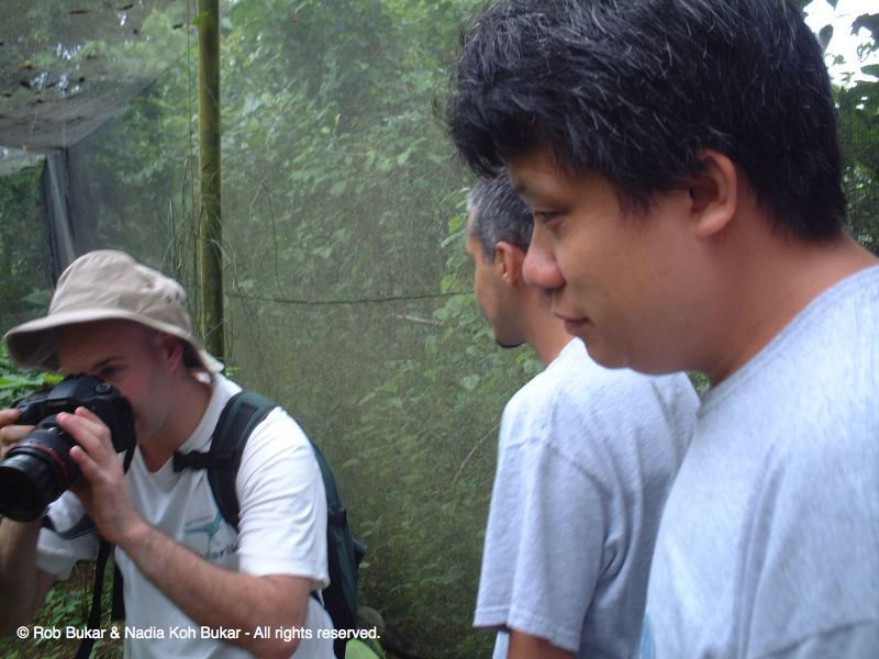 Rob, Kavan, and Andy Checking Out The Butterflies