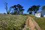 Barn at Start of Trail, Point Reyes